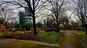7th Feb 2024 - St John's Garden, Manchester