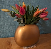 7th Feb 2024 - Fresh tulips 
