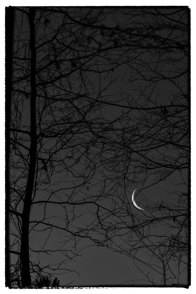 Crescent Moonrise by kvphoto
