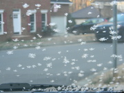 7th Feb 2024 - Frost Flakes on Windshield 