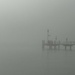 Fog.  by cocobella
