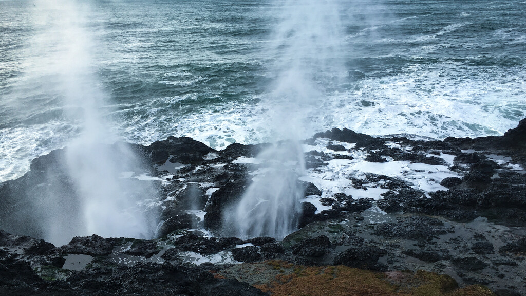 Spouting Horn - Depoe Bay Oregon by tapucc10