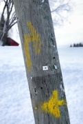 8th Feb 2024 - Leaning pole