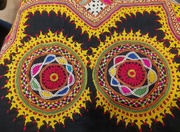 8th Feb 2024 - Indian embroidery 2
