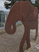 8th Feb 2024 - Elephant