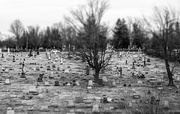 8th Feb 2024 - Cemetery