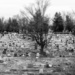 Cemetery by darchibald