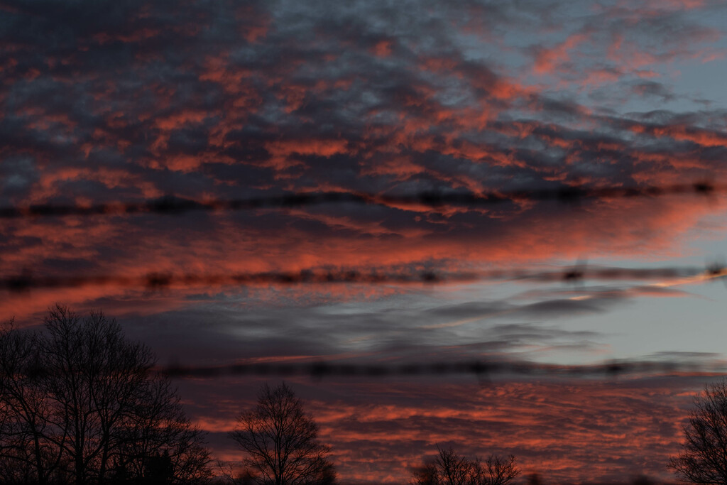 Sun Rise_-2 by darchibald