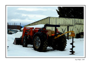 7th Feb 2024 - Red Tractor