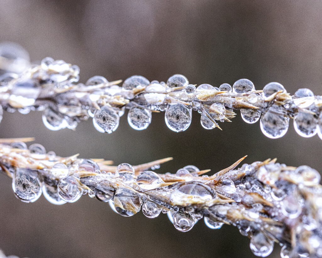 chain of drops by aecasey