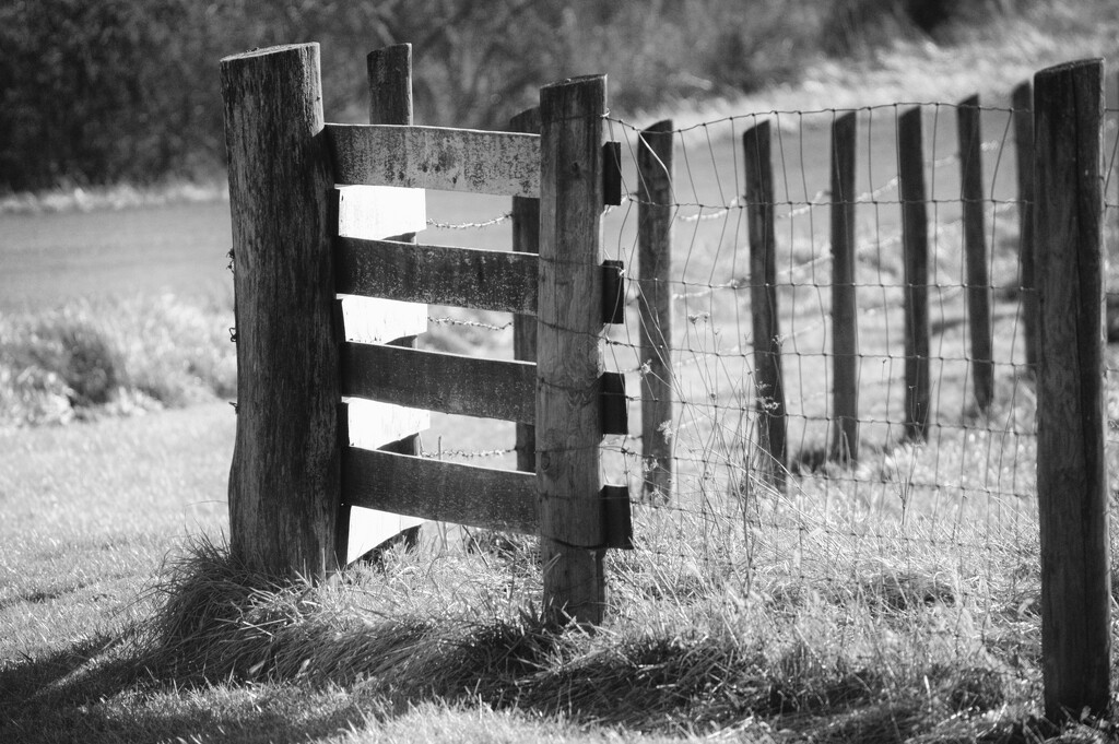 fence joint by francoise