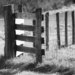 fence joint by francoise