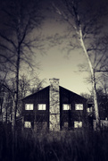 8th Feb 2024 - The Lodge Vertical