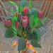 Birthday Tulips artistic by larrysphotos