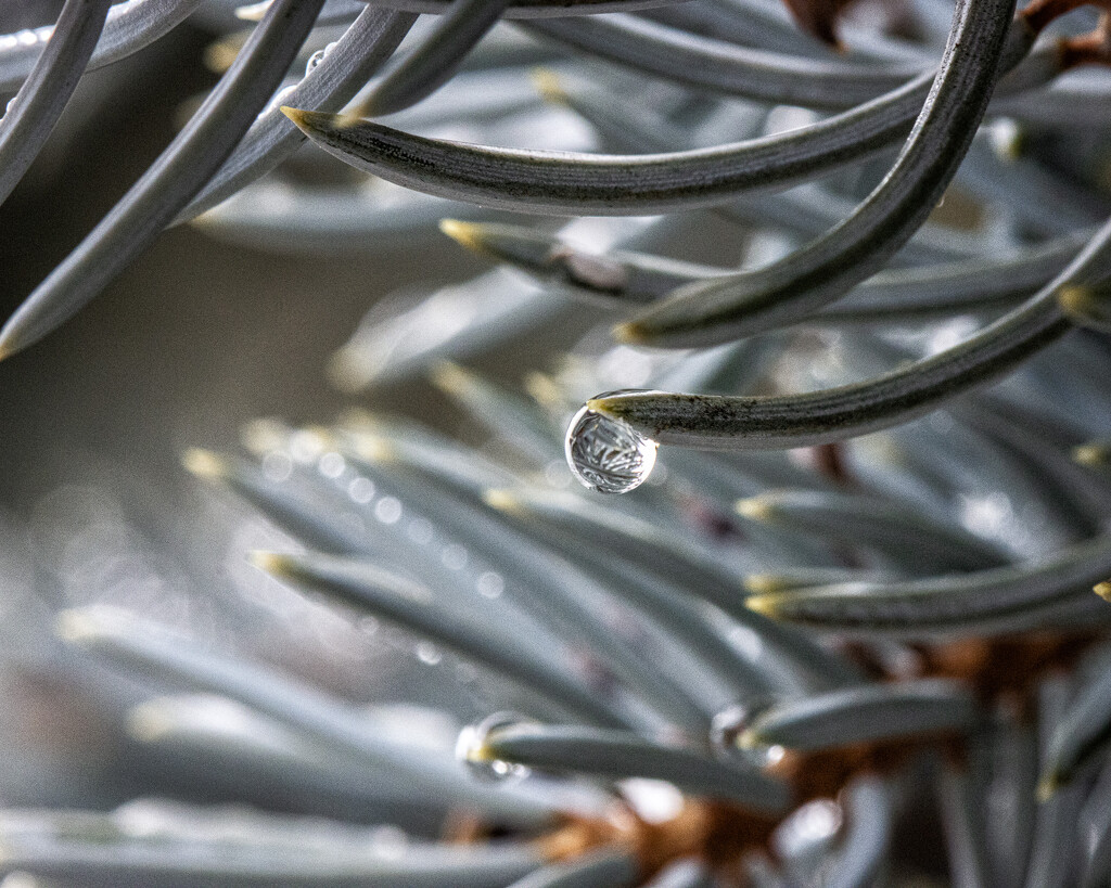 droplet by aecasey