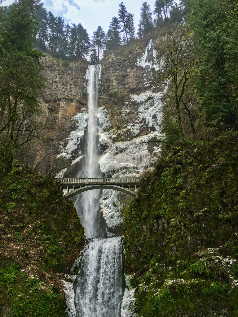 Frozen Falls - Multnomah Falls OR by tapucc10