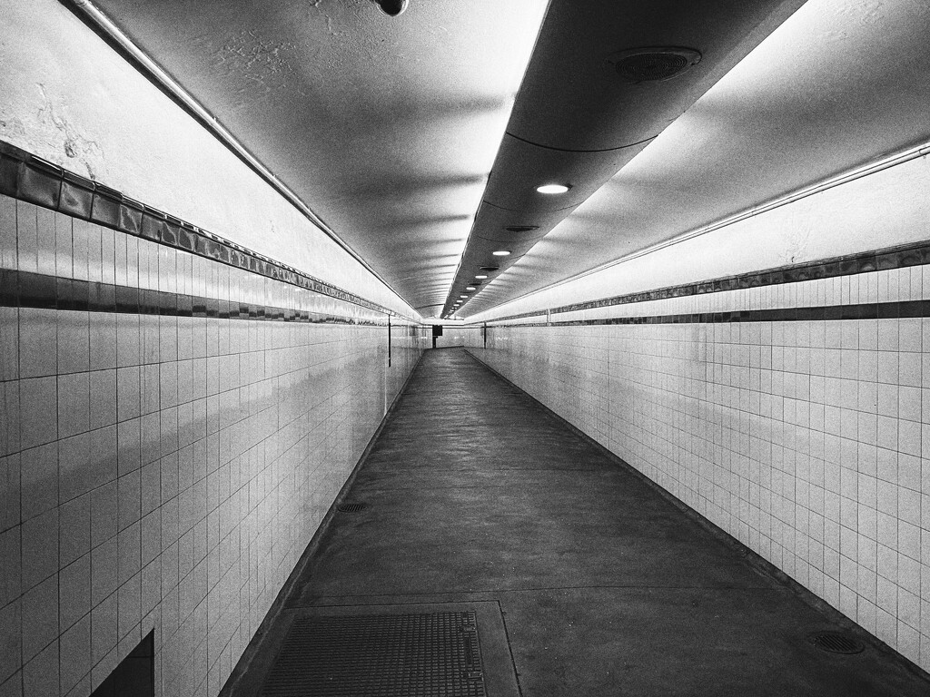 Pedestrian tunnel at St James Station, Sydney.  by johnfalconer