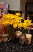 9th Feb 2024 - Daffodils 