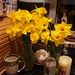 Daffodils  by grace55