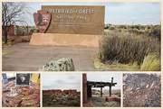 9th Feb 2024 - Rt 66-Petrified Forest National Park