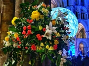 9th Feb 2024 - Cathedral Flowers