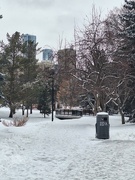 6th Feb 2017 - Winter In The Park 