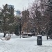 Winter In The Park  by bkbinthecity