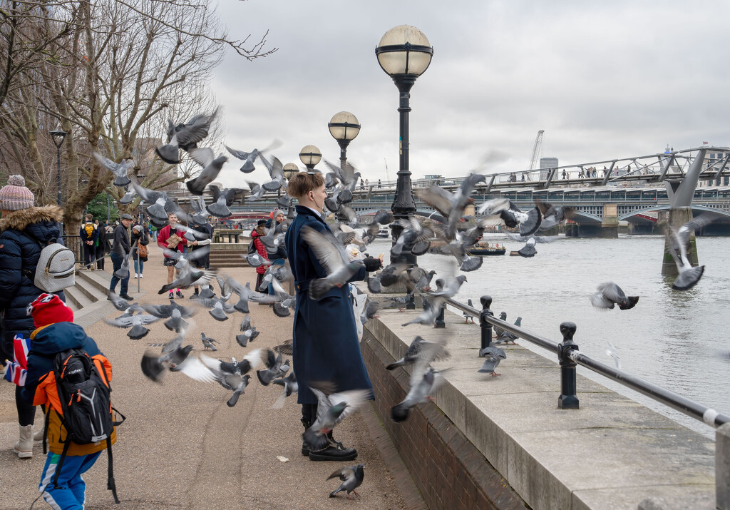 Pigeon chaos on the South Bank.  by clifford