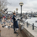 Pigeon chaos on the South Bank.  by clifford