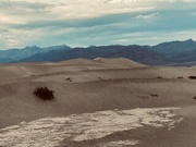 31st Jan 2024 - Sand Dunes