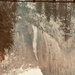 Rain on reflection of Yosemite Falls