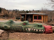 9th Feb 2024 - I discovered this crocodile yesterday