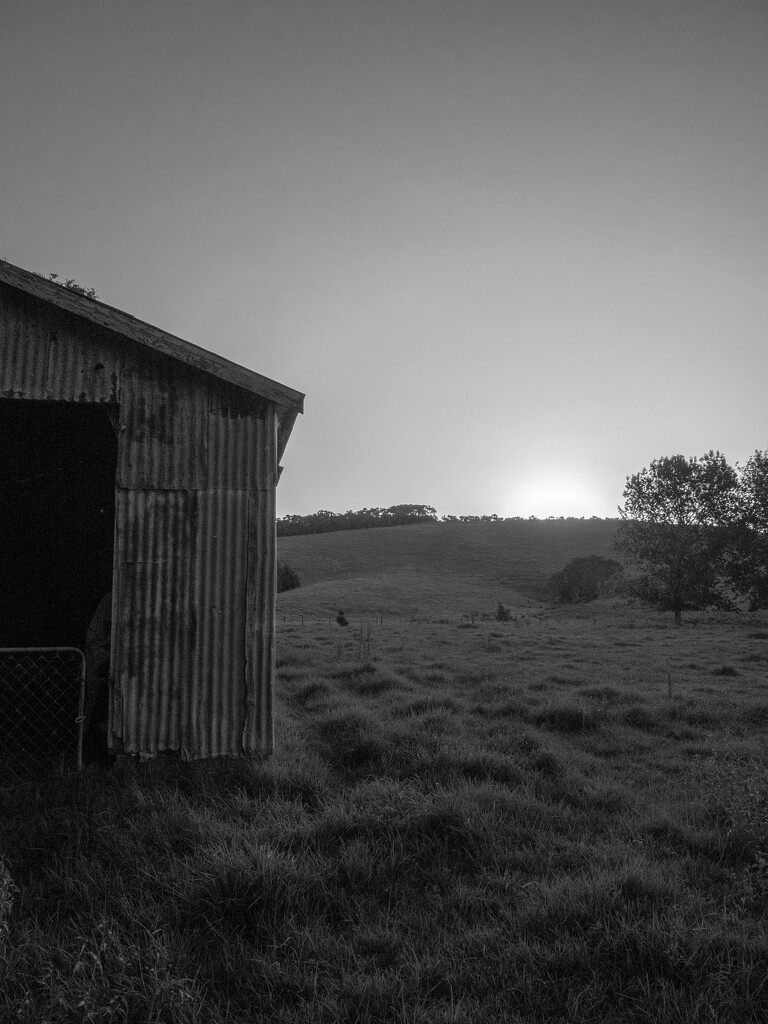 Sun setting on the shed by christinav