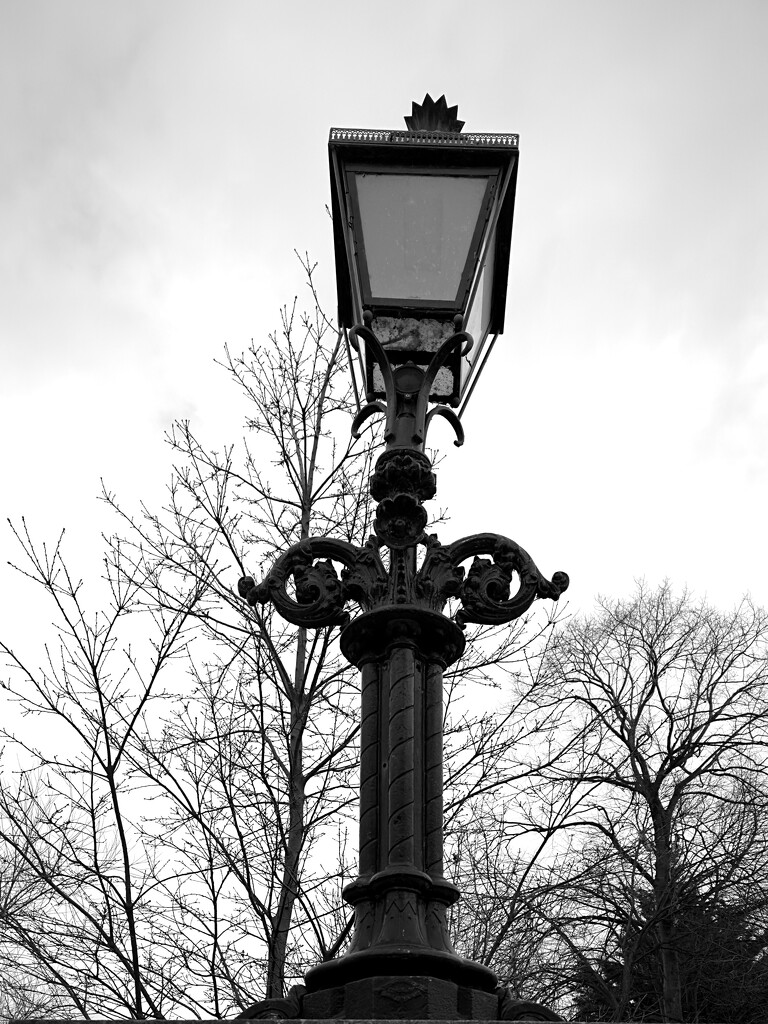 Street Light by mr_jules