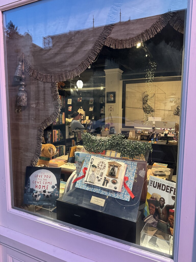 King Street bookshop window at night by congaree