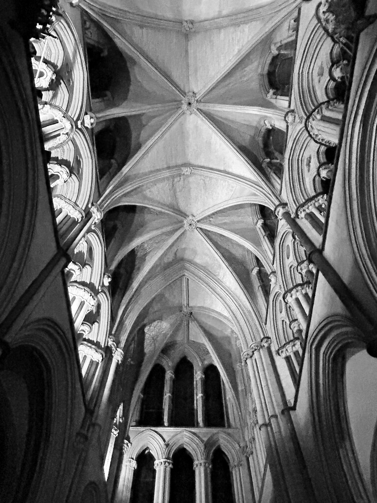 FOR #10 Cathedral Ceiling  by phil_sandford