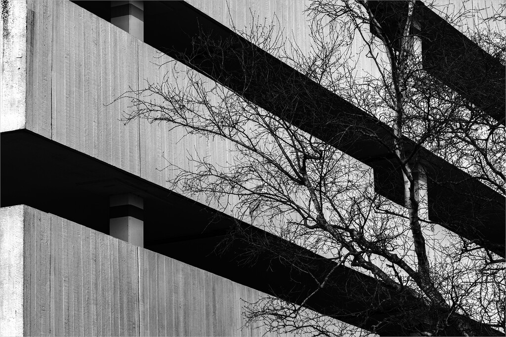 Car Park Architecture by helenhall