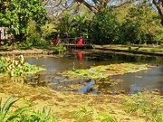 10th Feb 2024 - Lake at Bolivar's finca