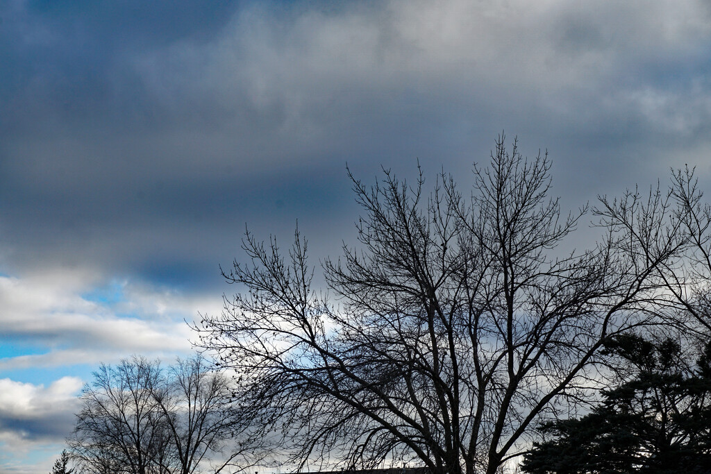 Winter sky by larrysphotos