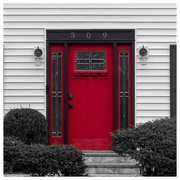 6th Feb 2024 - Red Door