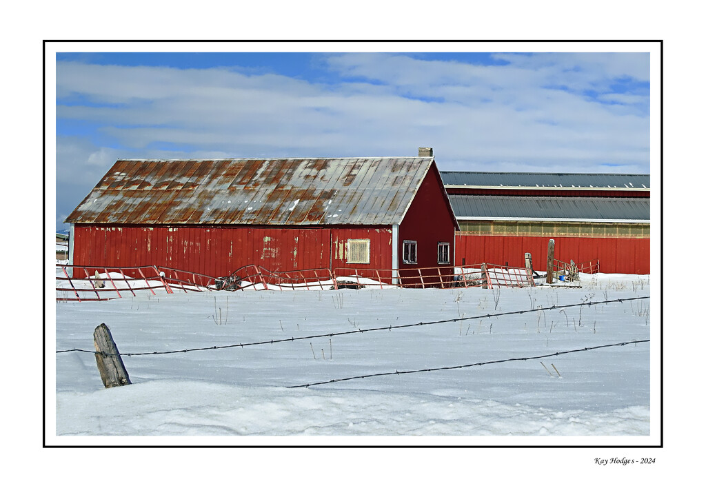 2 Red Barns by kbird61