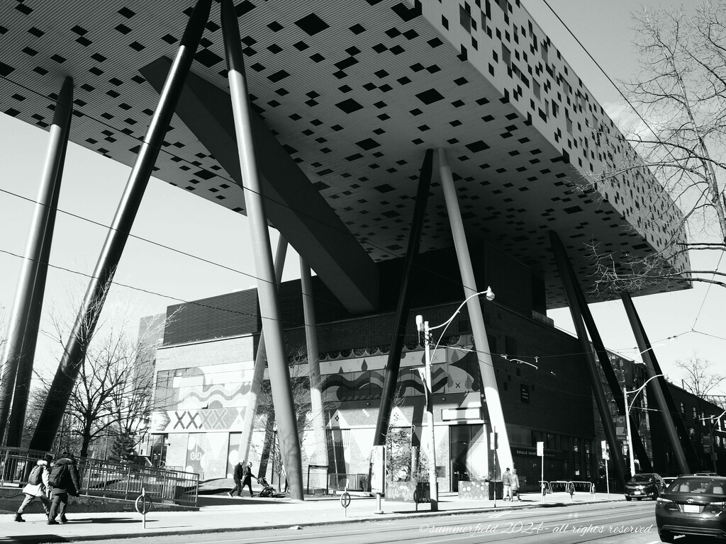 the OCAD by summerfield