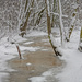 Frozen swamp by helstor365