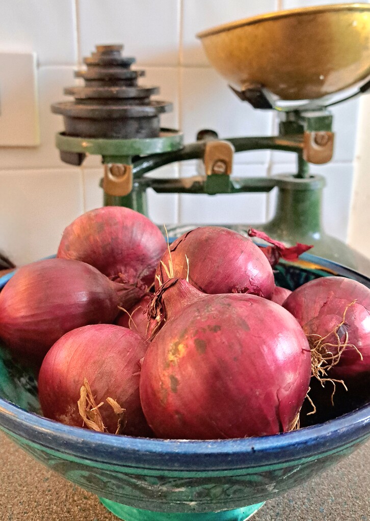 A pound of onions  by jokristina