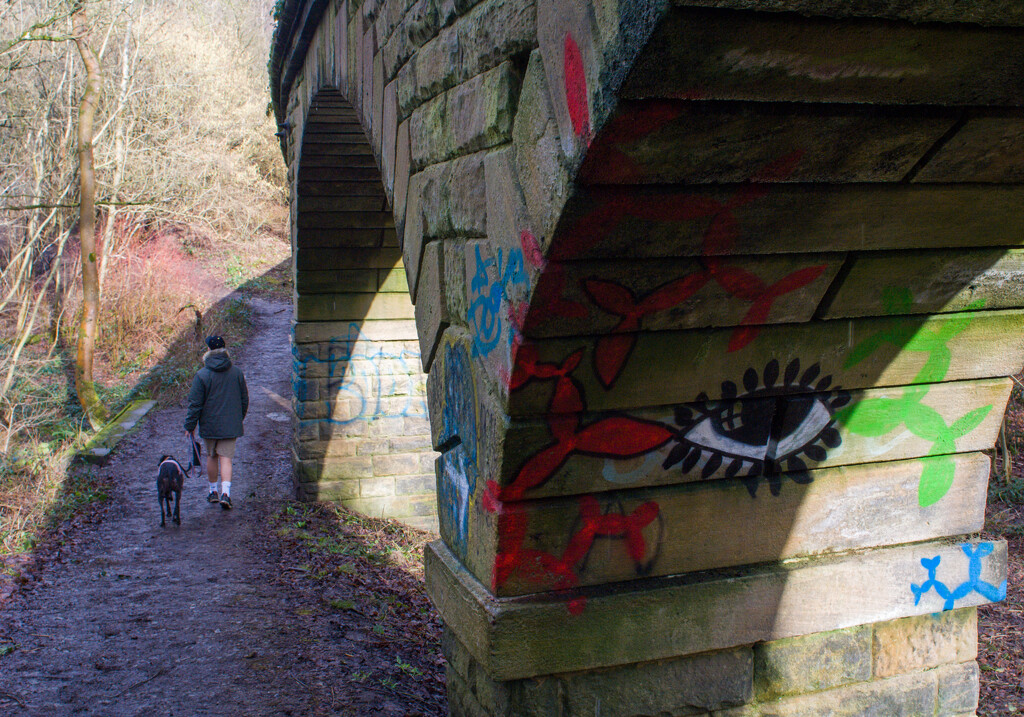 Meanwood aqueduct  by louday