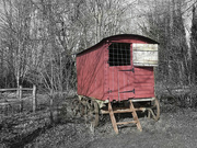11th Feb 2024 - Shepherd's Hut