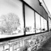 Wall, Windows and Reflection  by spanishliz