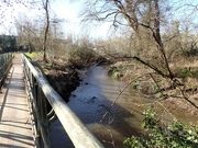 27th Jan 2024 - Fast flowing river