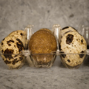 11th Feb 2024 - Quail eggs