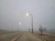 6th Feb 2024 - More fog